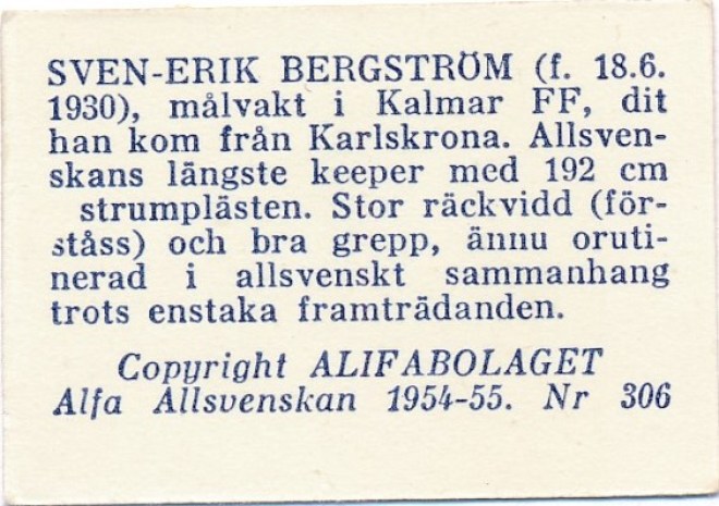 306b