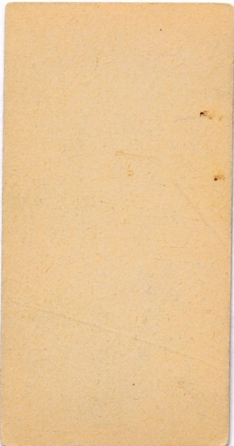 31b6