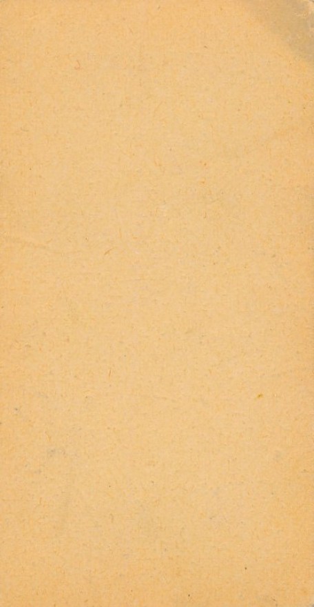 33b65