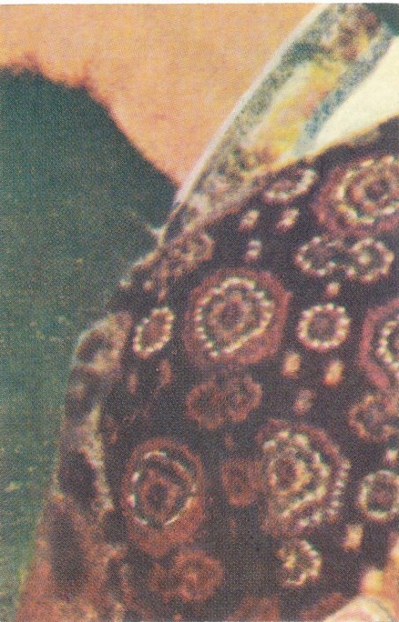 36b774