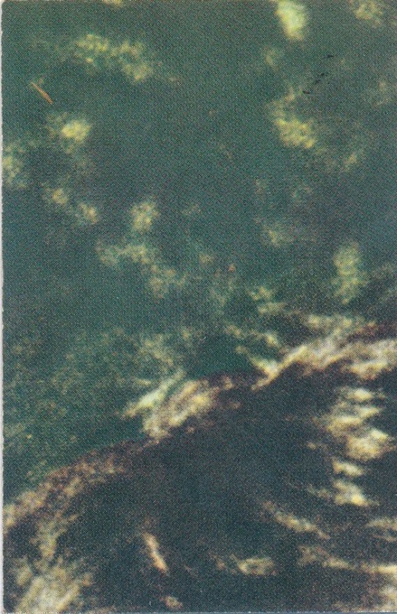 3b82