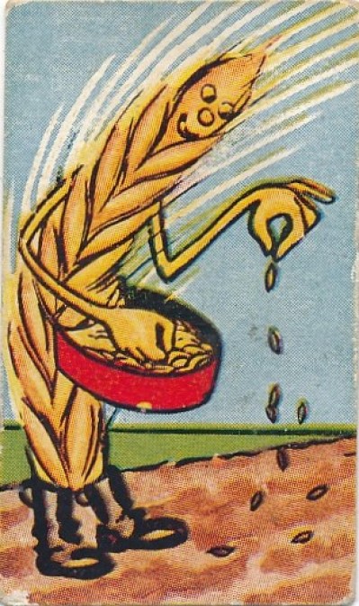 40a