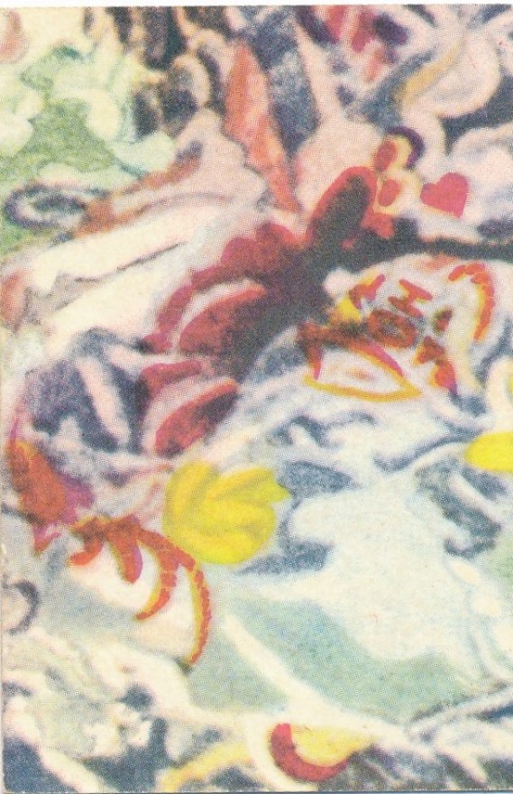 41b834