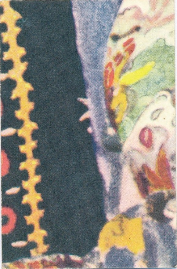 42b852