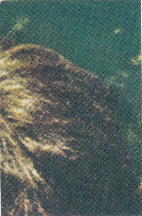 4b27