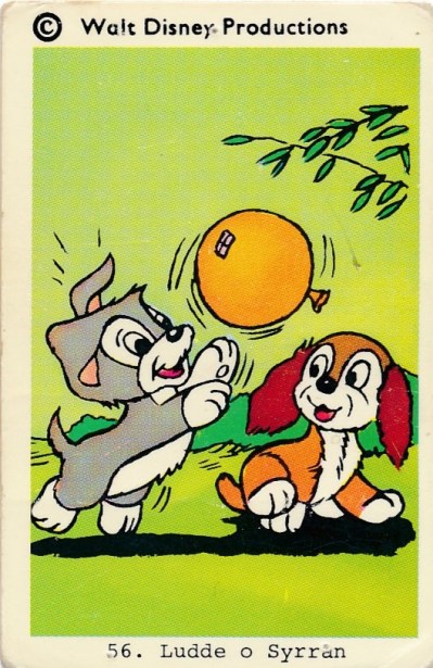 565