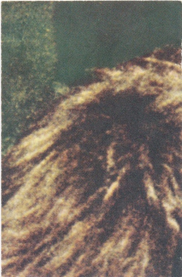 5b19
