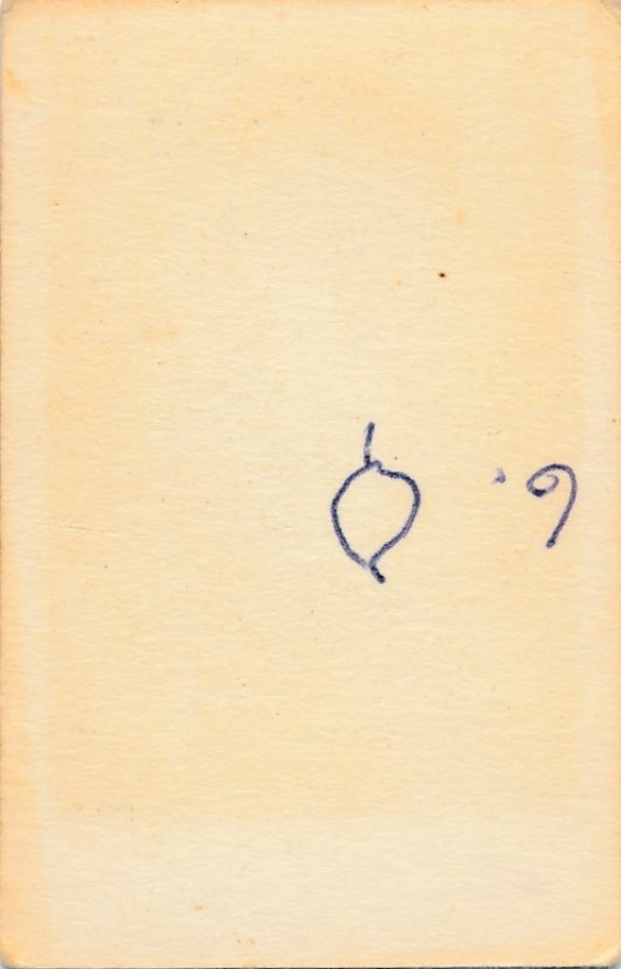 b31b