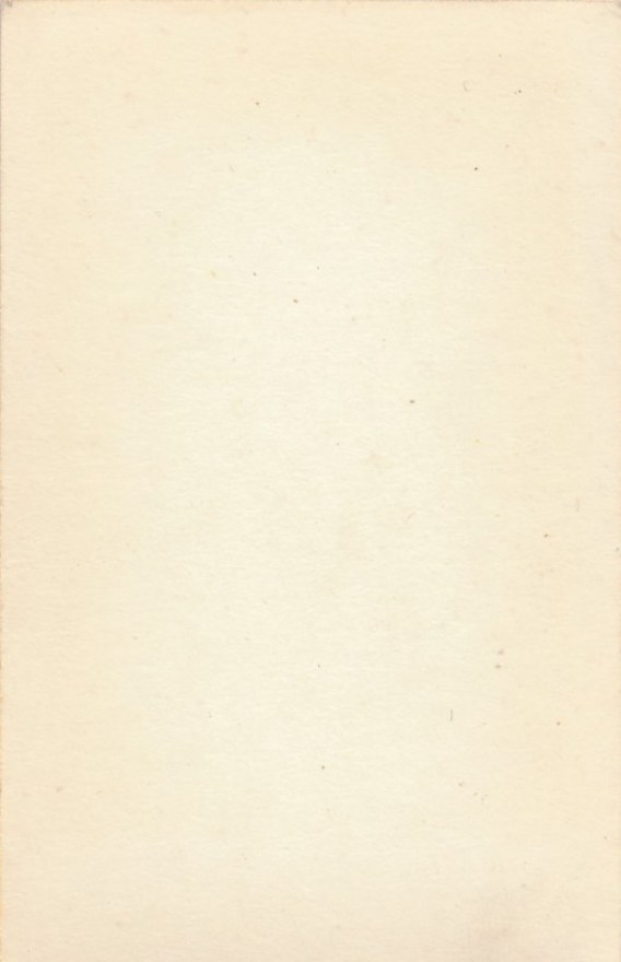 d13b