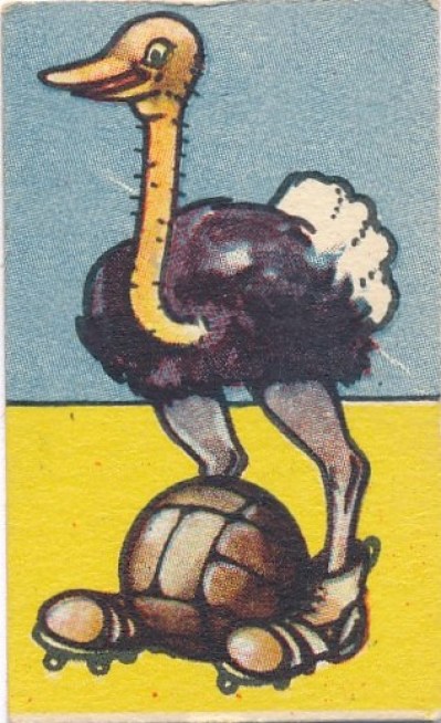 50a