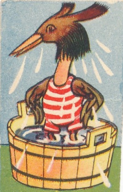 51a