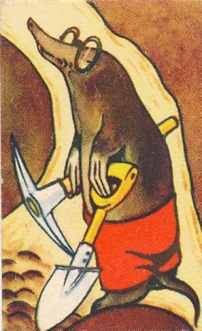 80a