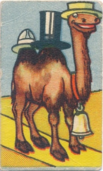 9a6