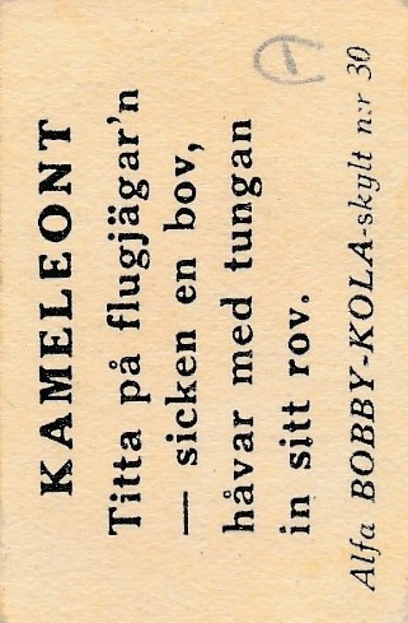 Kameleont1b