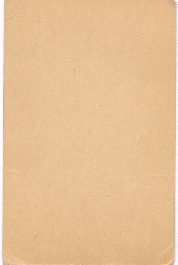 t14b